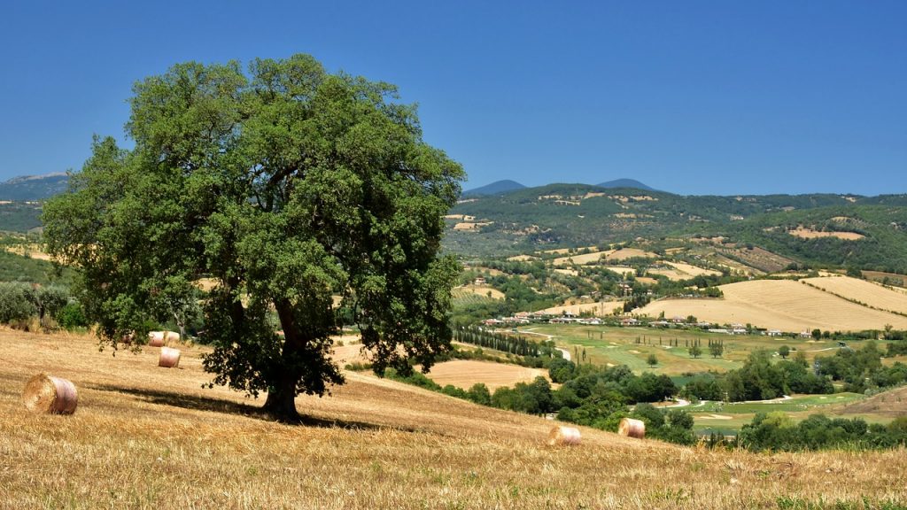 southern tuscany